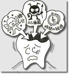 日本人の約90％以上がむし歯にかかっています。